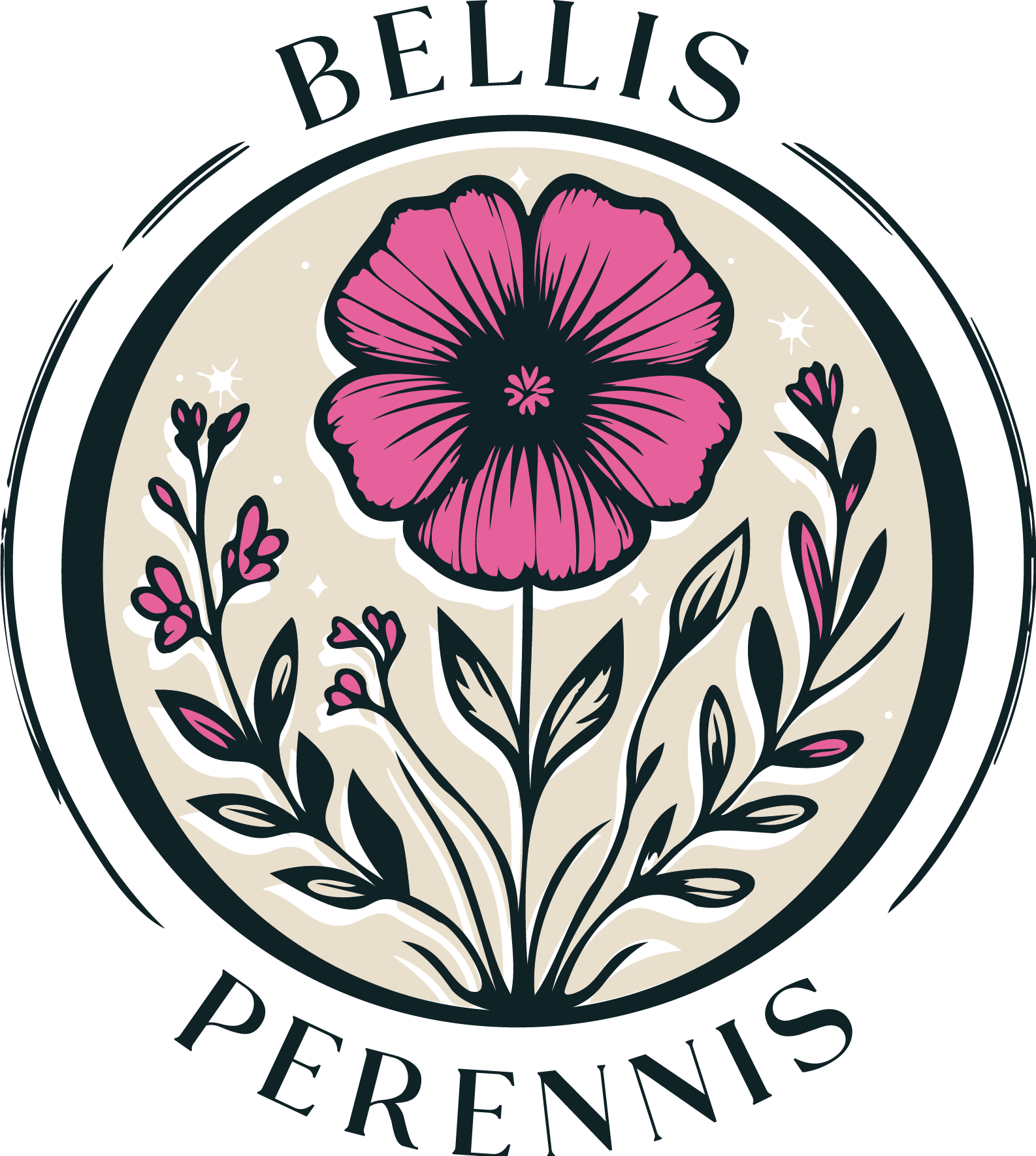 logo bellis perennis création de cadres fleurs séchées en dordogne
